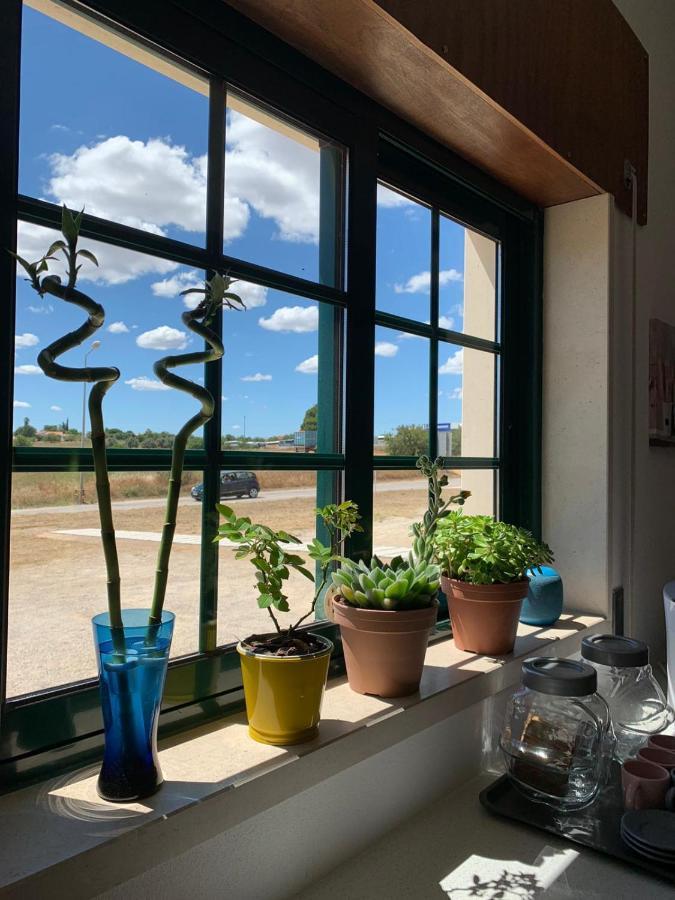 Casa Mineira Guest House Ферейрас Екстериор снимка